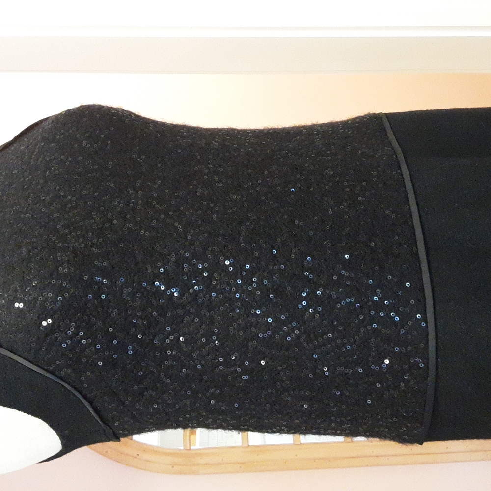 NWT🌟HP🌟 Loft Sequin Dress - Picture 11 of 11